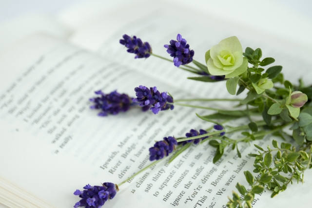 読書習慣が身につく