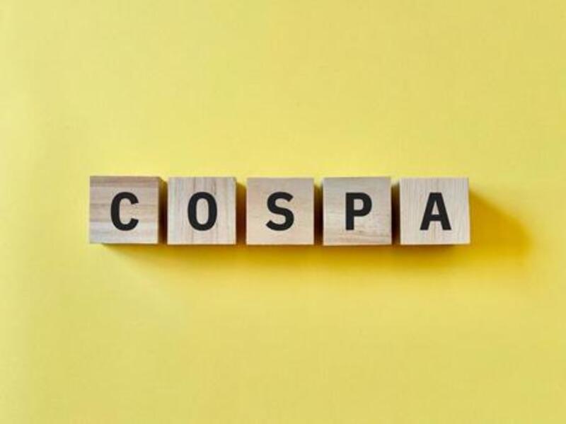 コストパフォーマンスで選ぶ